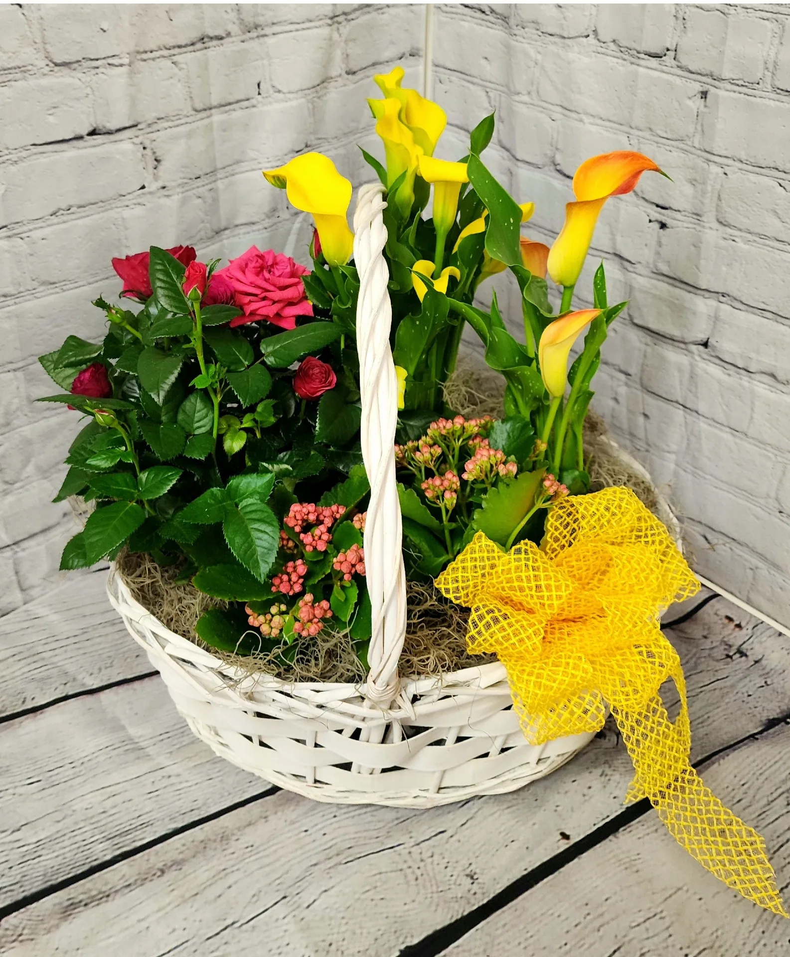 Euro Basket Potted Plants(plants & containers will vary) Euro Basket Potted Plants(plants & containers will vary)