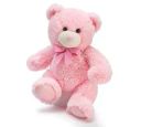 Stuffed Animal image
