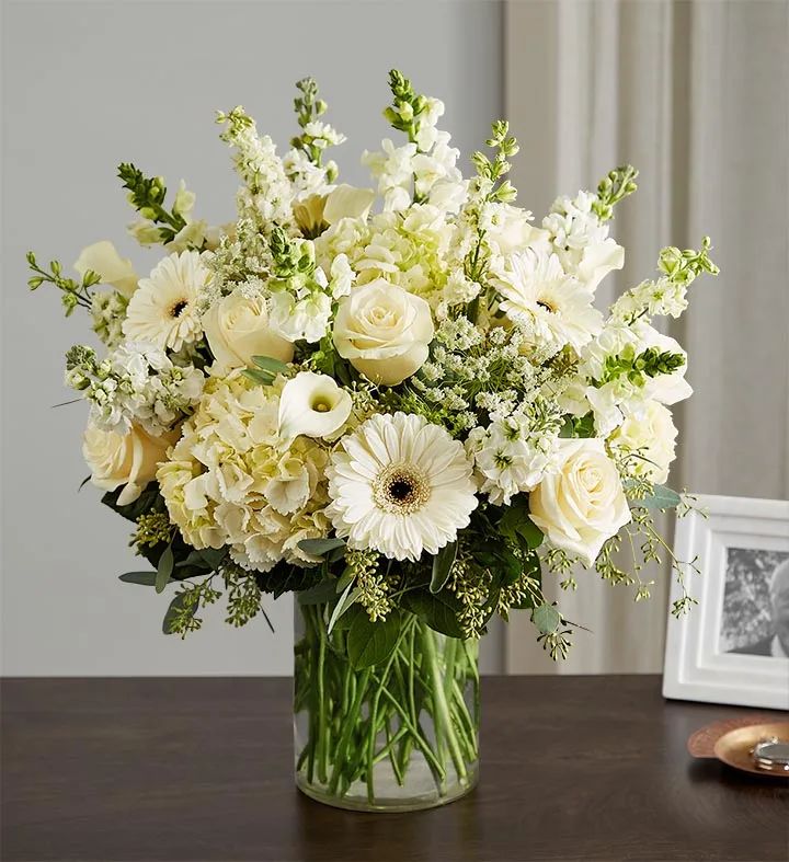 Pure White Elegance