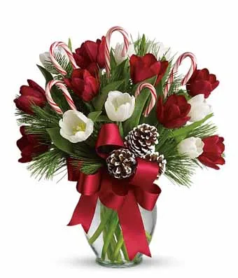 Festive Peppermint Tulips Festive Peppermint Tulips