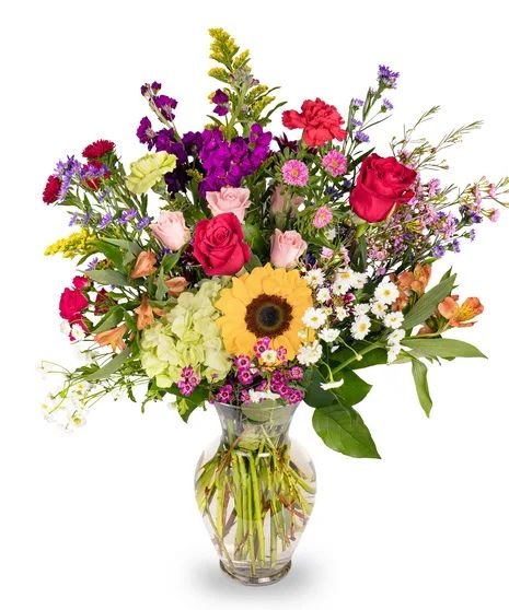 Freshly picked for you
