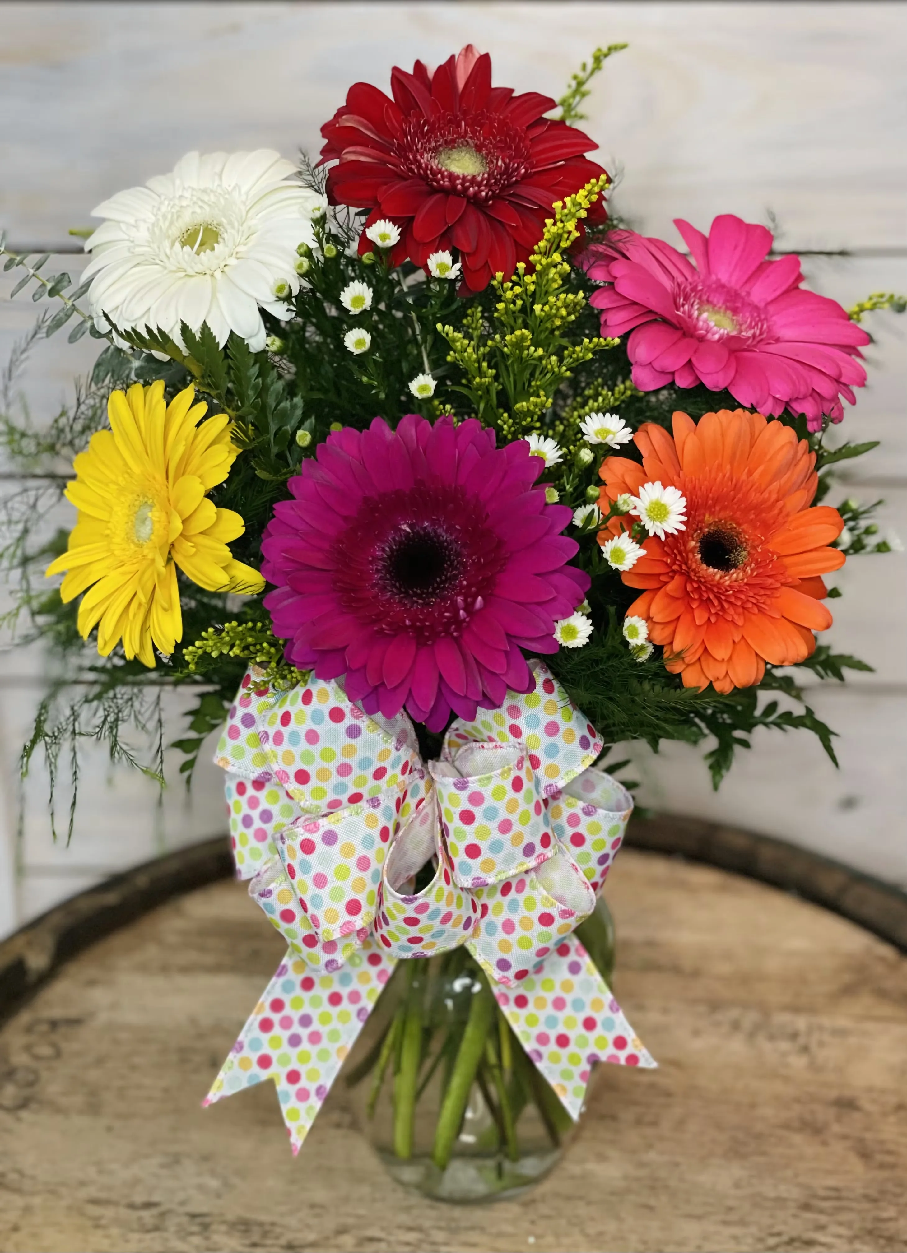 Gerber Daisy Delight Gerber Daisy Delight