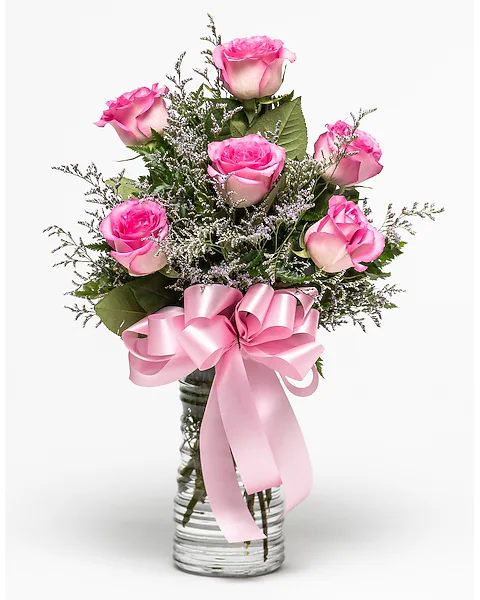 6 Beautiful Roses 6 Beautiful Roses