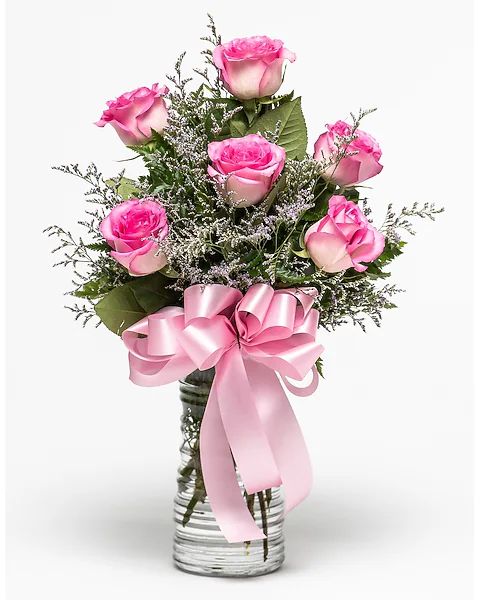 6 Beautiful Roses