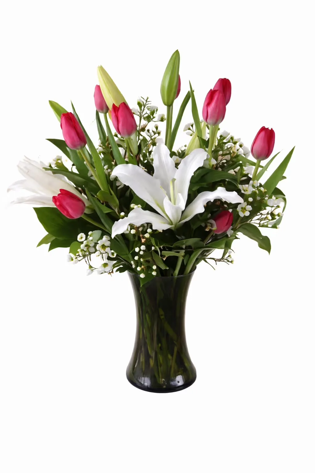 Classic Tulips Classic Tulips