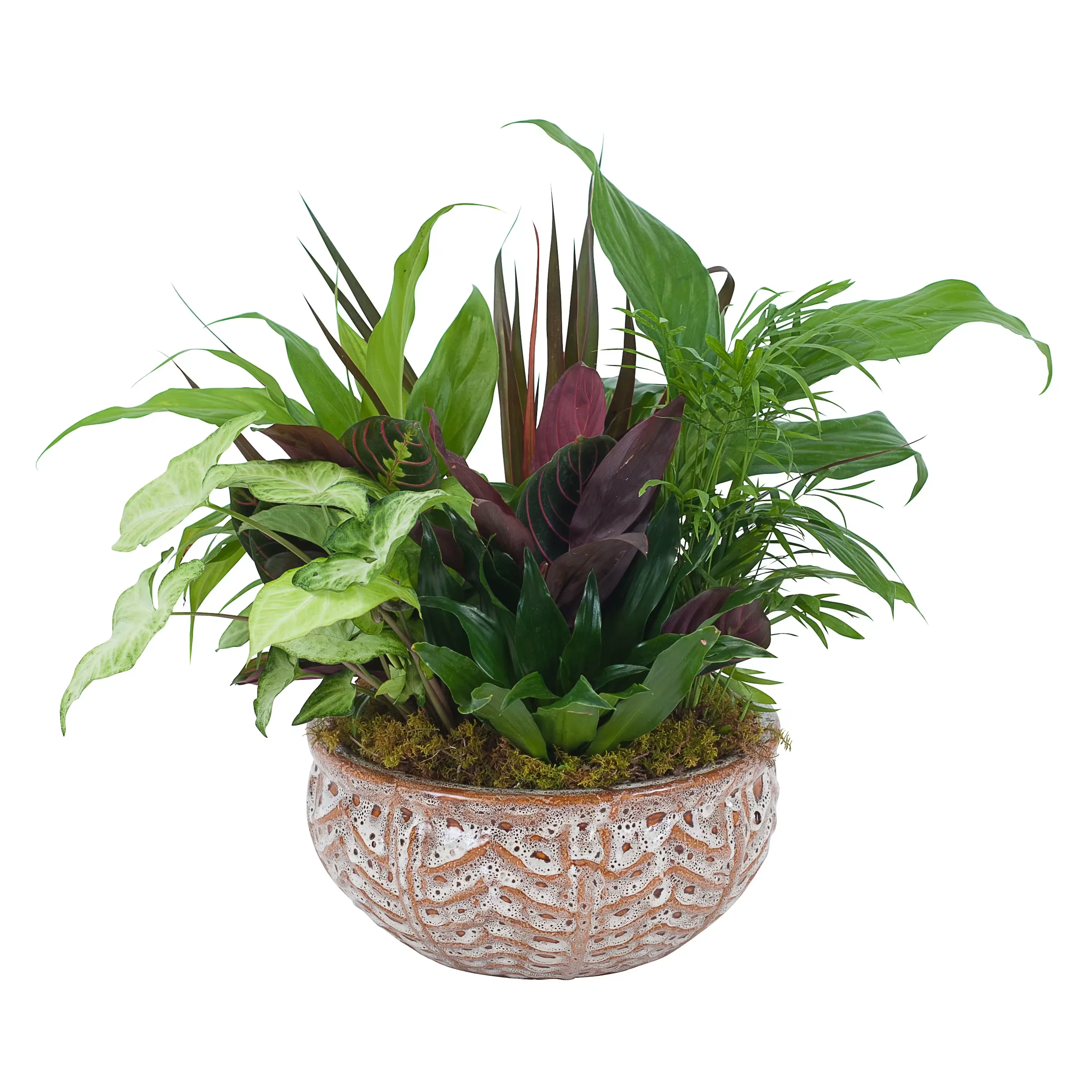 Large Ceramic Dish Garden Large Ceramic Dish Garden