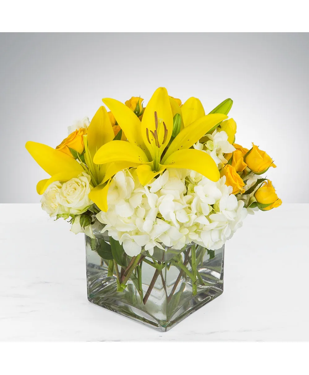 Golden Radiance Modern Low Compact Arrangement in Clear Glass Cube Vase Golden Radiance Modern Low Compact Arrangement in Clear Glass Cube Vase