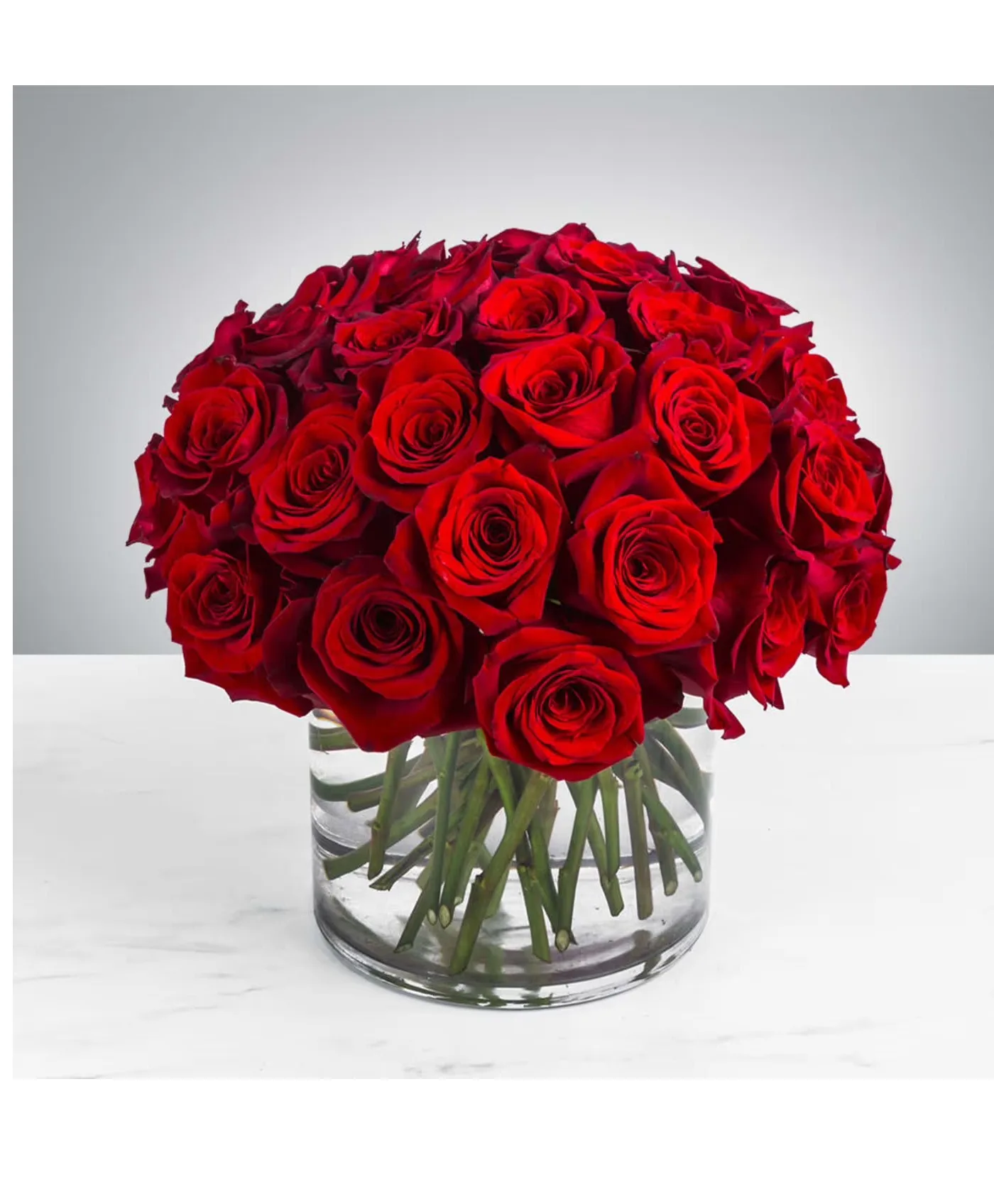 ? Eternal Love – Three Dozen Roses ✨ Luxury Vase Arrangement ? Eternal Love – Three Dozen Roses ✨ Luxury Vase Arrangement