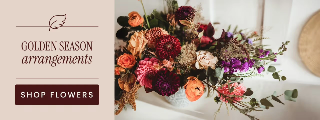 Fall Flowers collection Fall Flowers collection