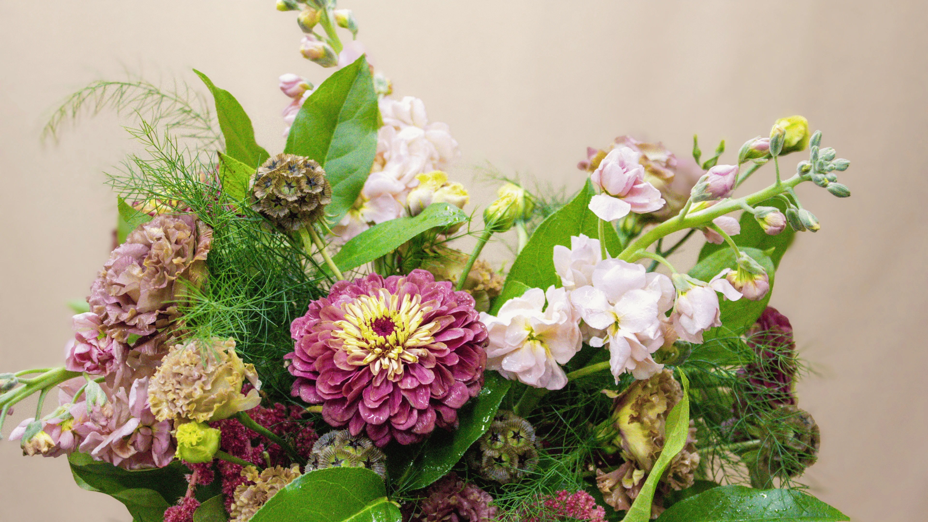 Featured flowers Featured flowers