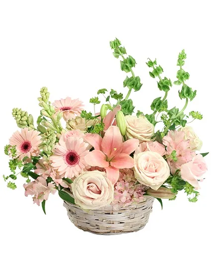Gentle Sophistication Basket Arrangement Gentle Sophistication Basket Arrangement