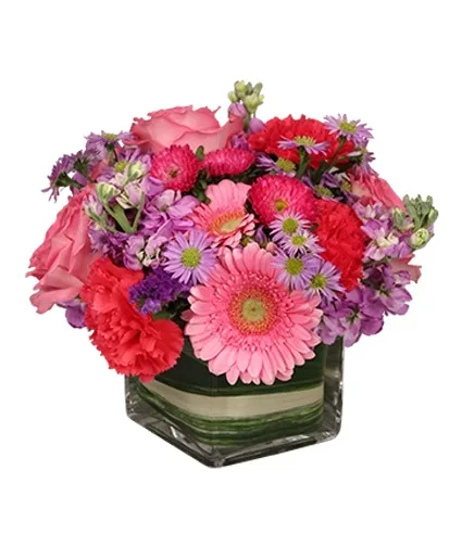 SWEETNESS OF LIFE Arrangement SWEETNESS OF LIFE Arrangement