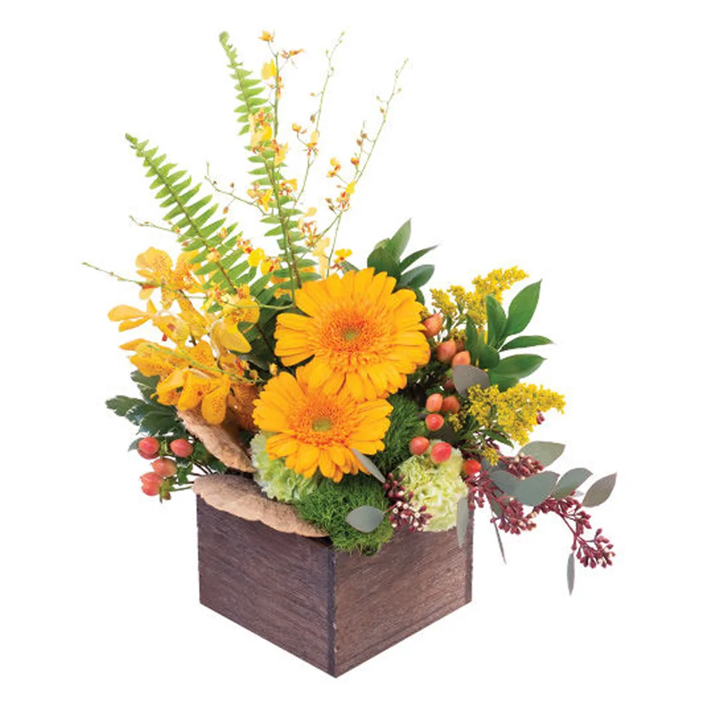 Earthly Indulgence Earthly Indulgence