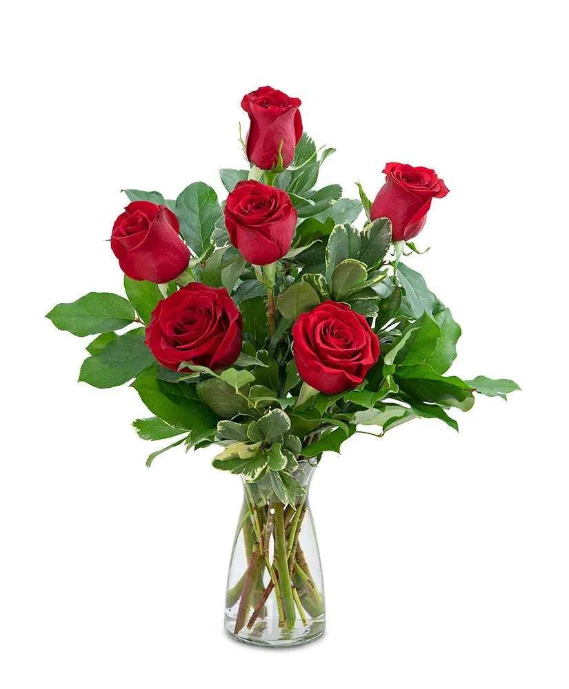 Red Roses (6) Flower Arrangement Red Roses (6) Flower Arrangement