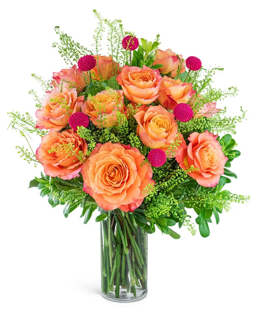 One Dozen Wild and Free Spirit Roses Flower Arrangement One Dozen Wild and Free Spirit Roses Flower Arrangement