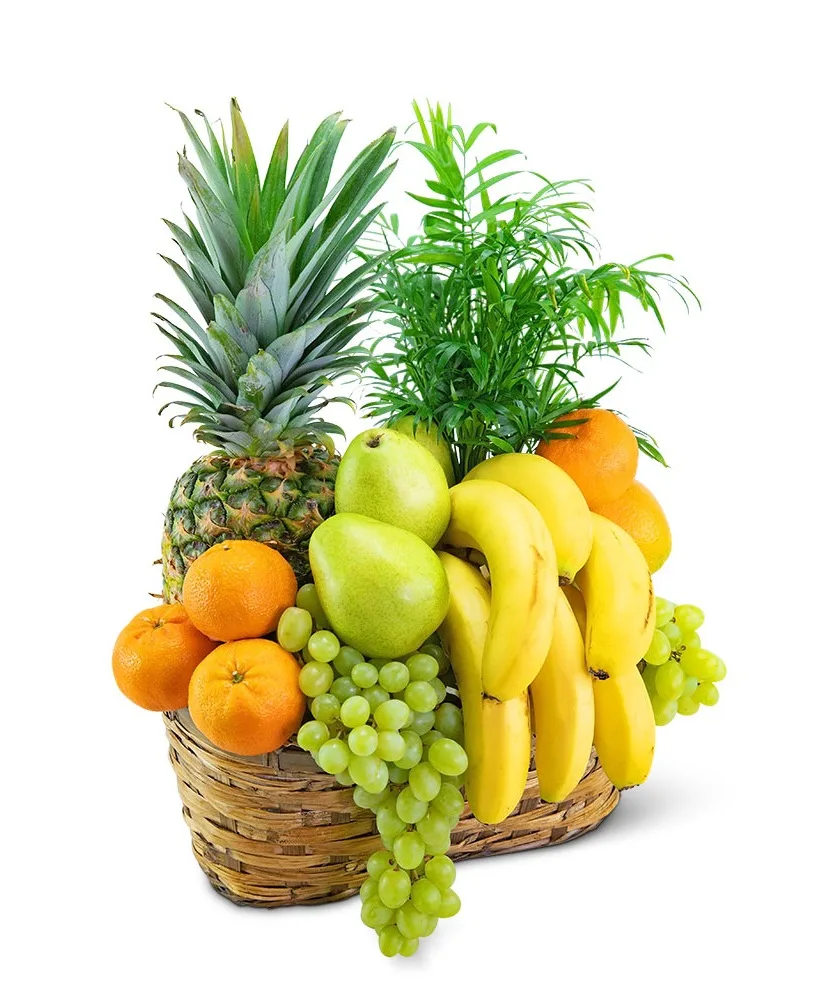 Green Goodness Fruit & Plant Basket Gift Basket Green Goodness Fruit & Plant Basket Gift Basket