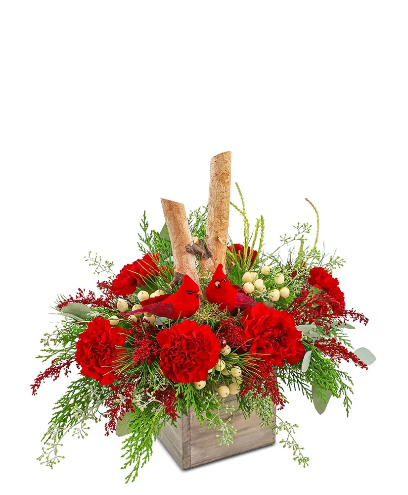 Woodland Cardinal Cheer Flower Arrangement Woodland Cardinal Cheer Flower Arrangement