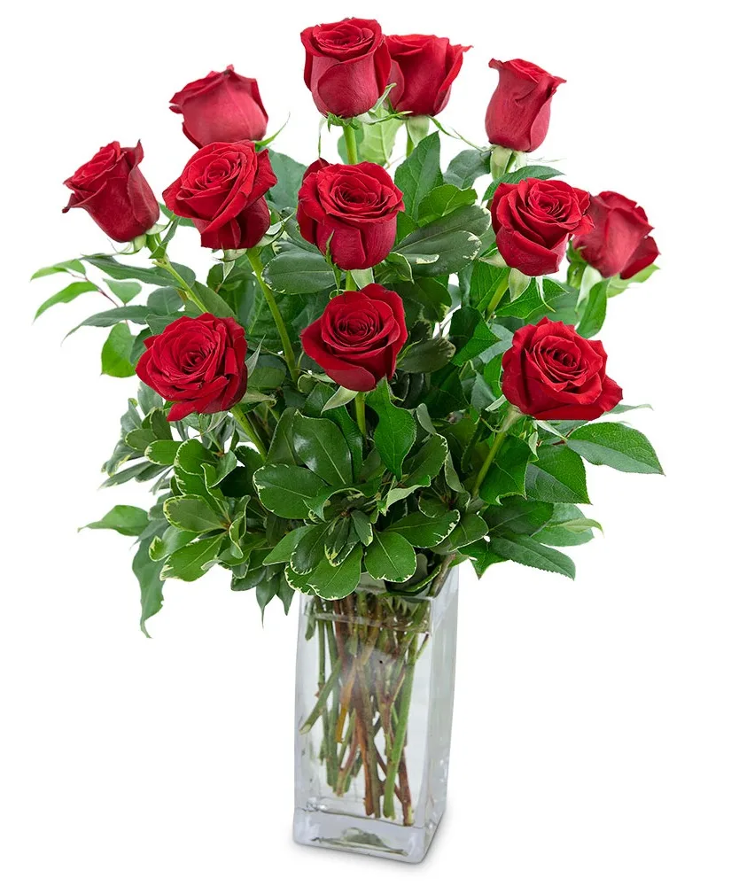 Classic Dozen Red Roses Flower Arrangement Classic Dozen Red Roses Flower Arrangement