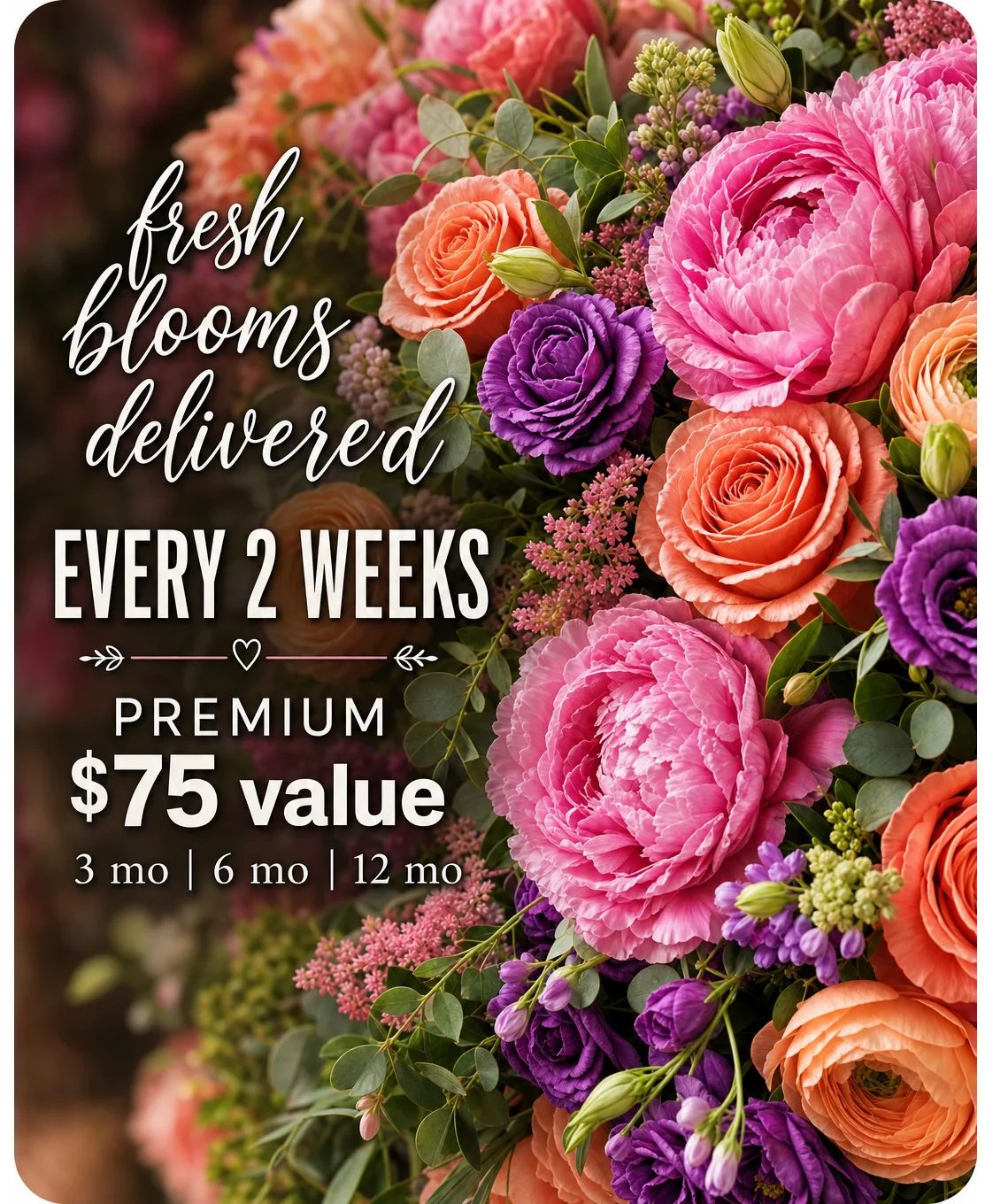 Premium Bi-Weekly Subscription ($75 Value) Premium Bi-Weekly Subscription ($75 Value)