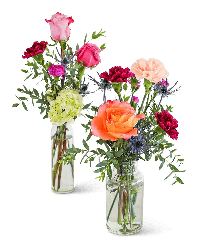 Bottles of Prismatic Buds Flower Arrangement Bottles of Prismatic Buds Flower Arrangement