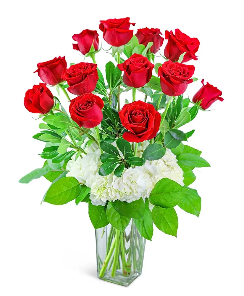 One Dozen Red Roses with Hydrangea Flower Arrangement One Dozen Red Roses with Hydrangea Flower Arrangement