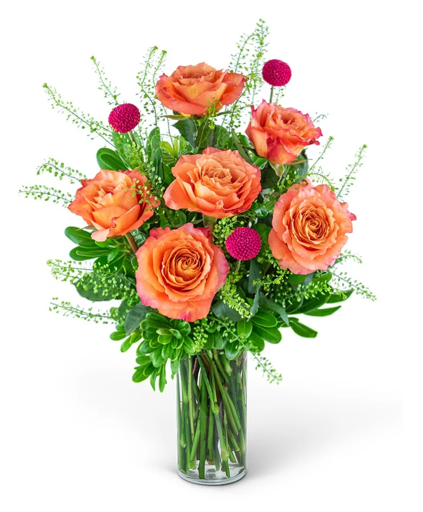 Half Dozen Wild and Free Spirit Roses Flower Arrangement Half Dozen Wild and Free Spirit Roses Flower Arrangement