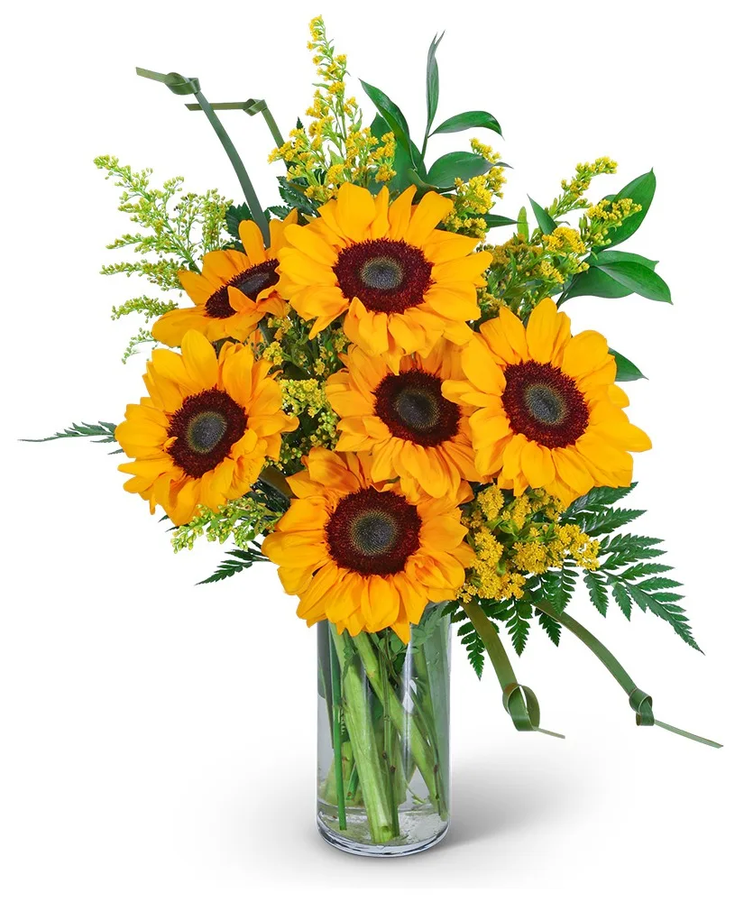 Sunflowers and Love Knots Flower Arrangement Sunflowers and Love Knots Flower Arrangement