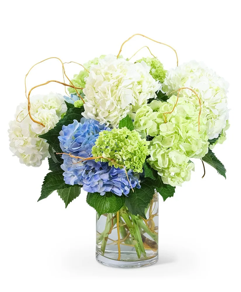 Hello, Hydrangea! Flower Arrangement Hello, Hydrangea! Flower Arrangement