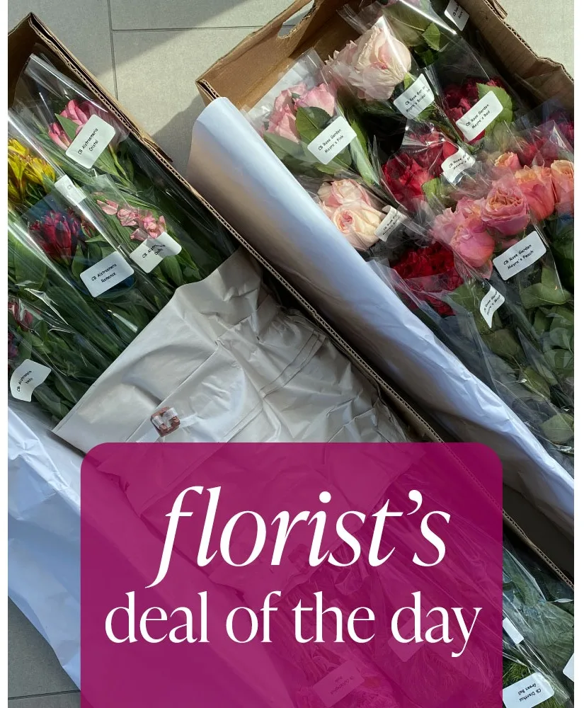 Florist's Deal of the Day Flower Arrangement Florist's Deal of the Day Flower Arrangement