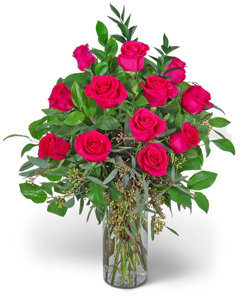 One Dozen Hot Pink Roses Flower Arrangement One Dozen Hot Pink Roses Flower Arrangement