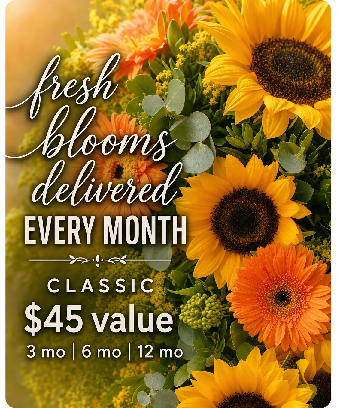 Classic Monthly Subscription ($45 Value) Classic Monthly Subscription ($45 Value)