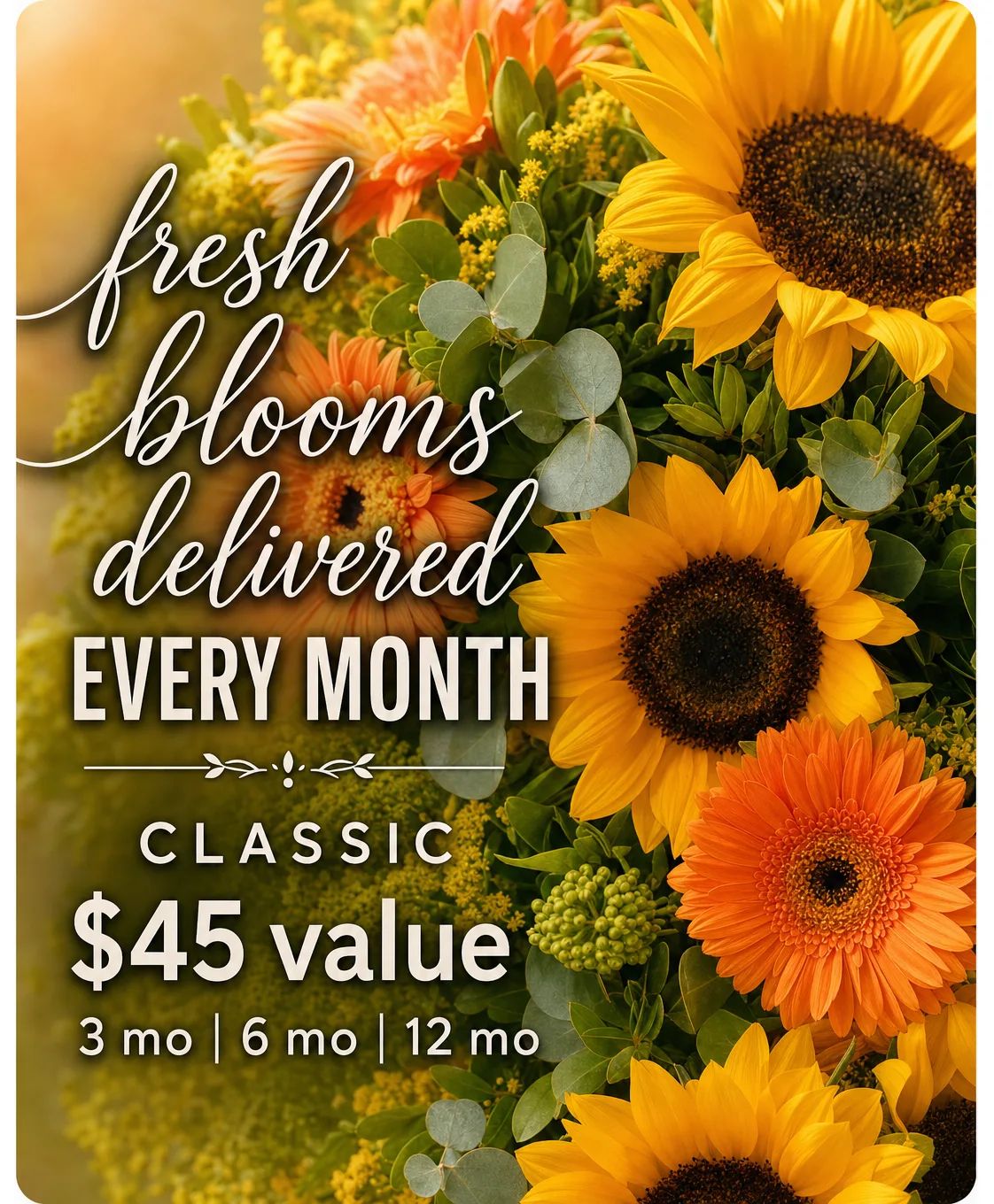 Classic Monthly Subscription ($45 Value)