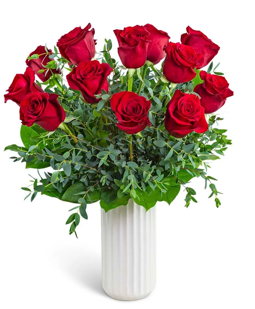 One Dozen Ruby Red Roses Flower Arrangement One Dozen Ruby Red Roses Flower Arrangement