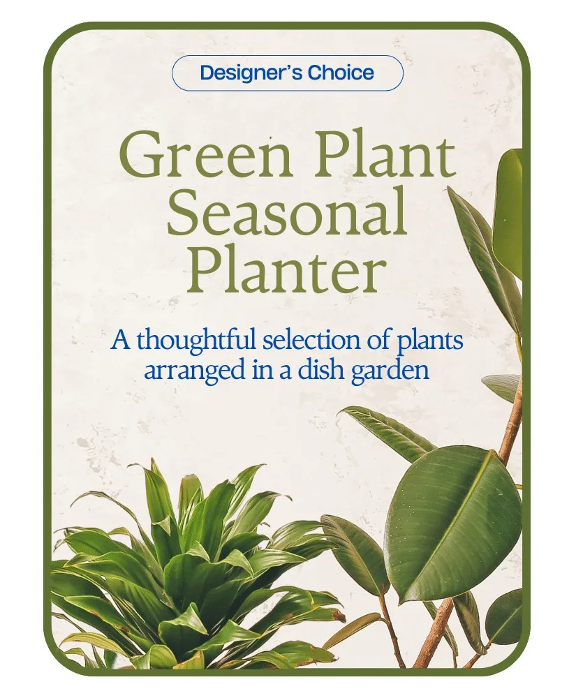 Designer's Choice - Variety of Green Plants Flower Arrangement Designer's Choice - Variety of Green Plants Flower Arrangement