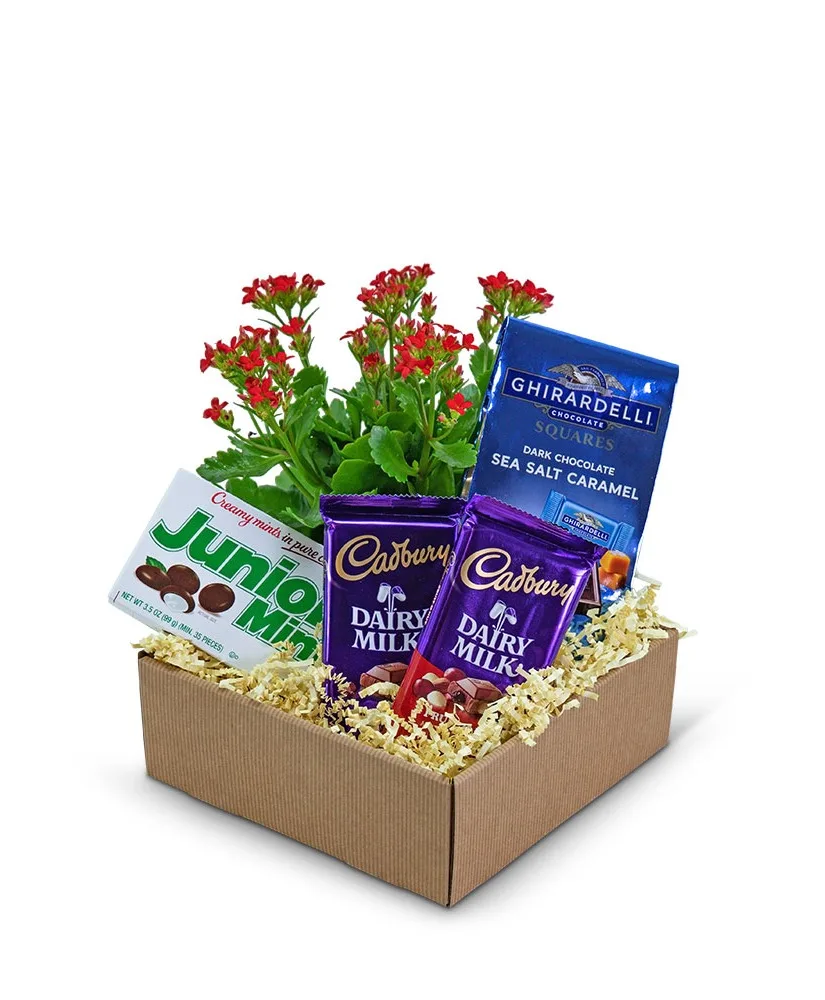 Boy Meets World Basket Gift Basket Boy Meets World Basket Gift Basket