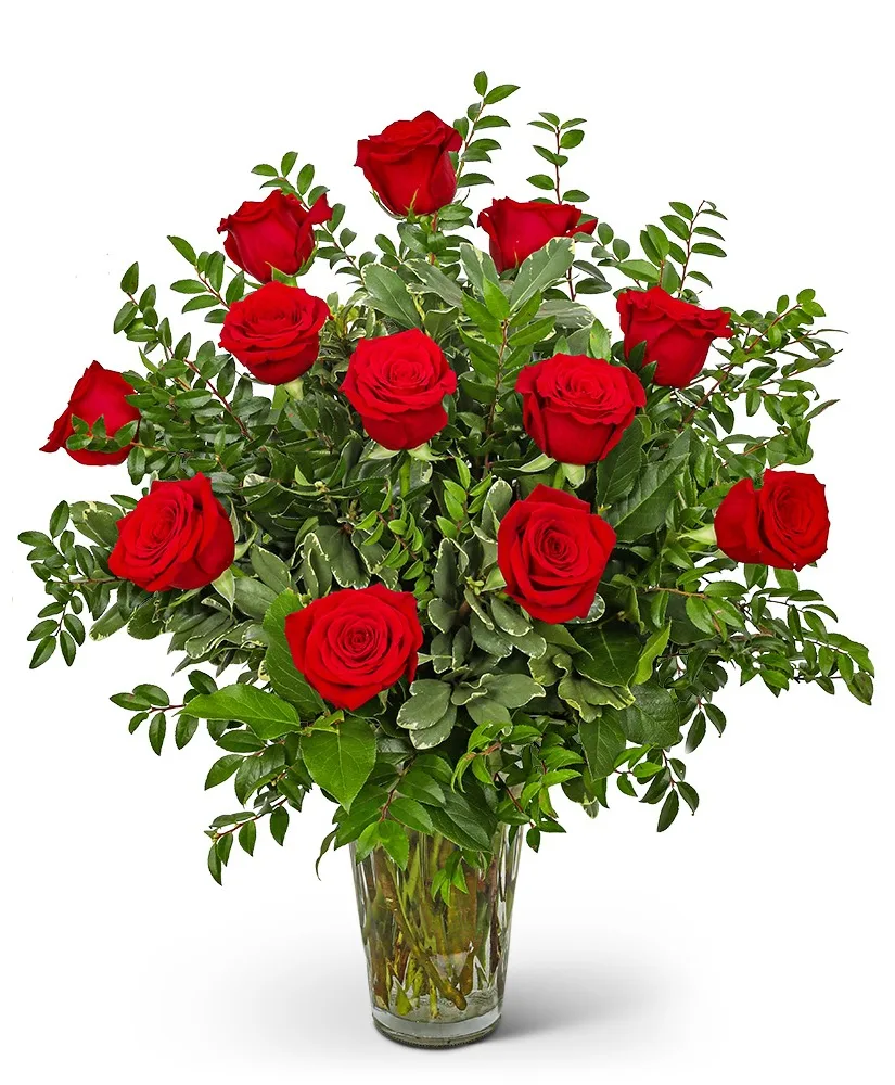 One Dozen Elegant Red Roses Flower Arrangement One Dozen Elegant Red Roses Flower Arrangement