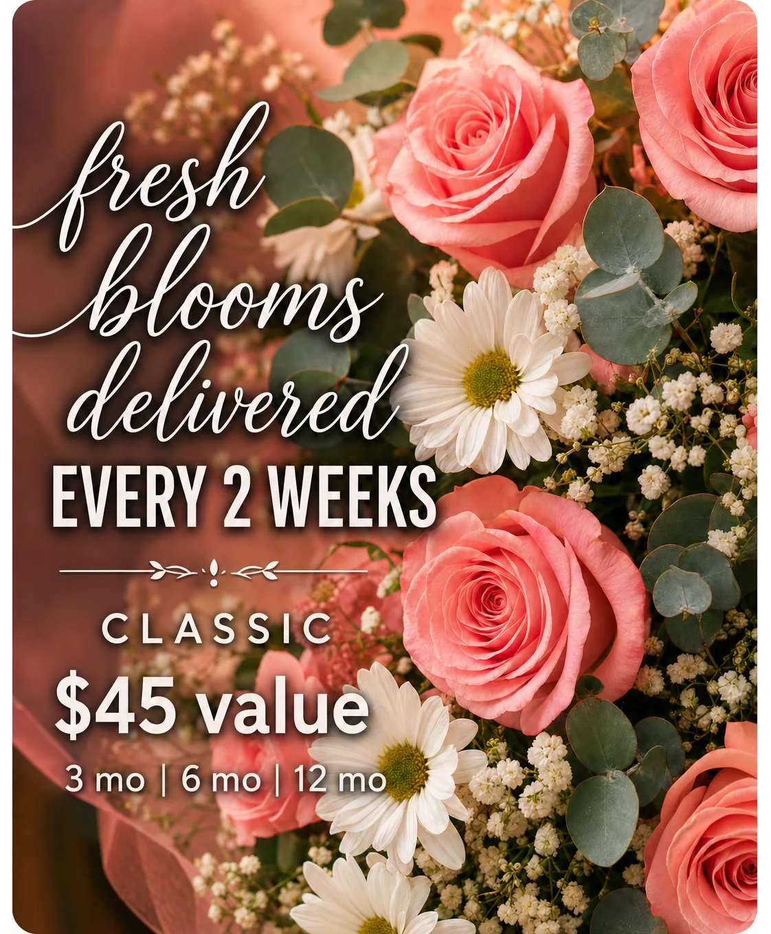 Classic Bi-Weekly Subscription ($45 Value) Classic Bi-Weekly Subscription ($45 Value)