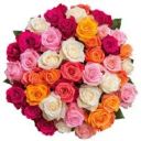Roses (Complimentary Color) image