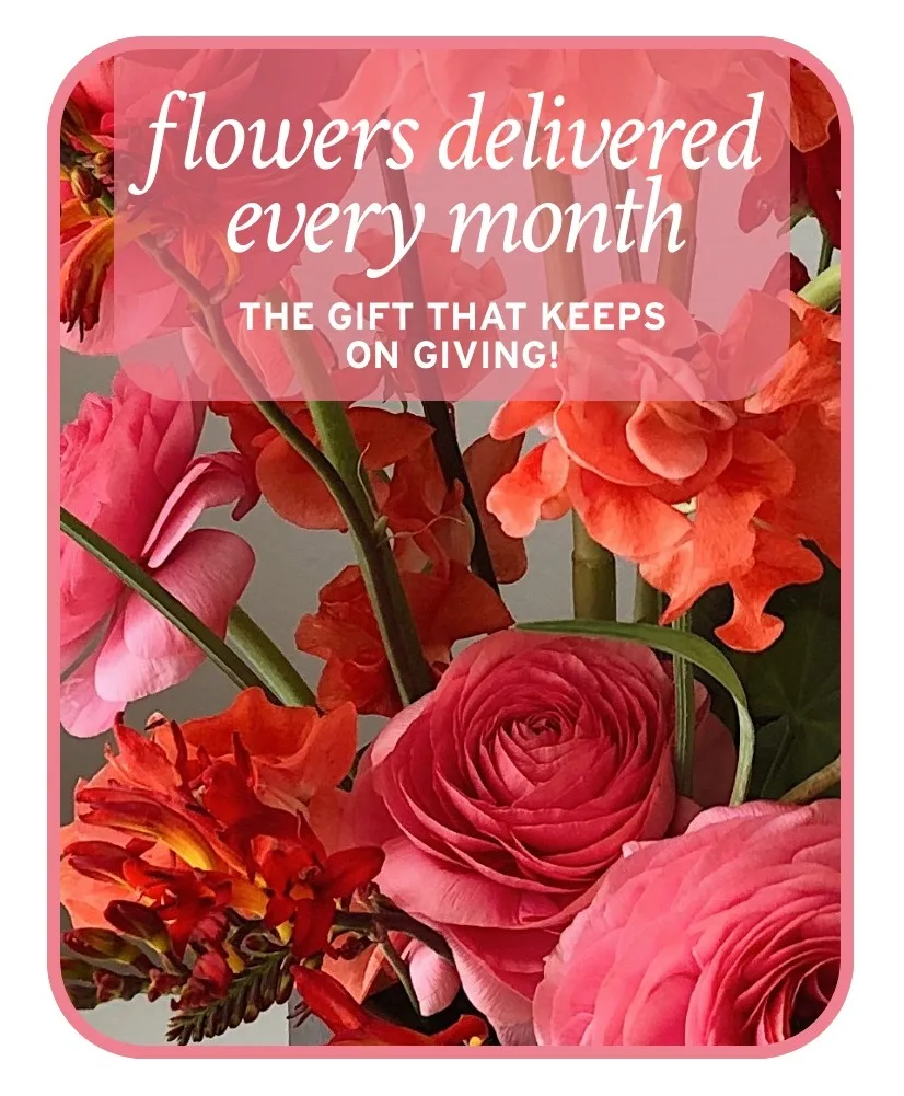 Flower Subscription Flower Arrangement Flower Subscription Flower Arrangement
