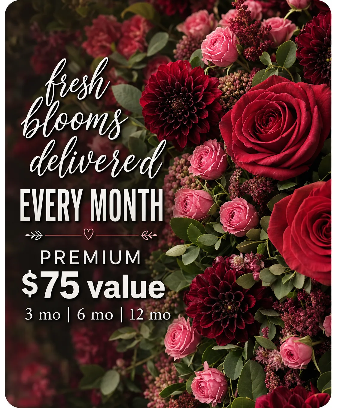 Premium Monthly Subscription ($75 Value) Premium Monthly Subscription ($75 Value)