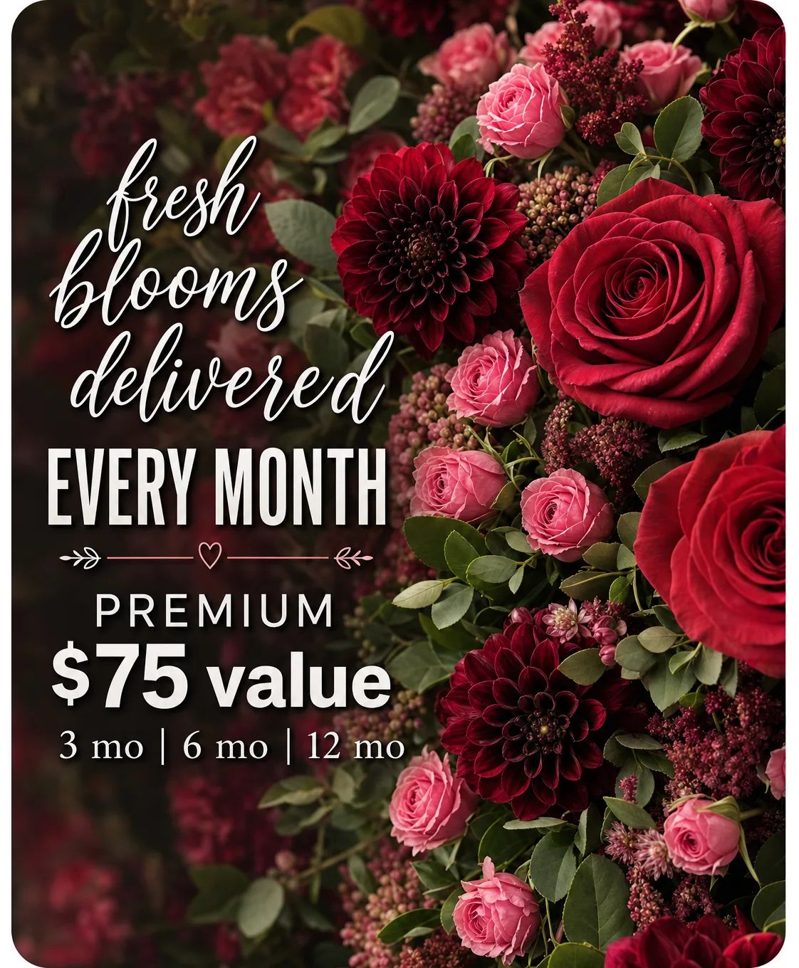 Premium Monthly Subscription ($75 Value)