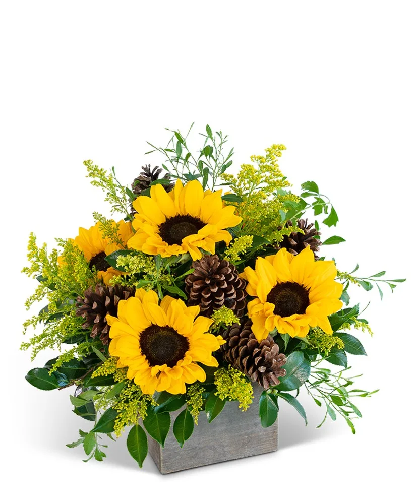Glowing Harvest Beauty Flower Arrangement Glowing Harvest Beauty Flower Arrangement