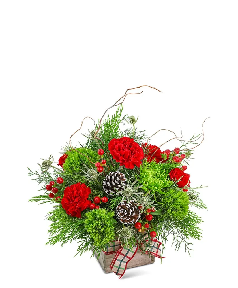 Festive Tidings Flower Arrangement Festive Tidings Flower Arrangement