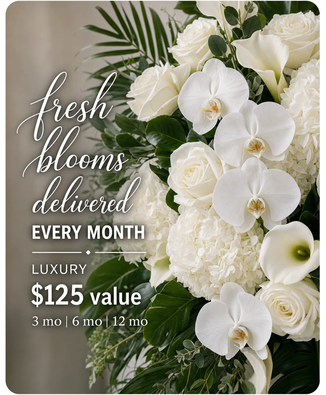 Luxury Monthly Subscription ($125 Value) Luxury Monthly Subscription ($125 Value)