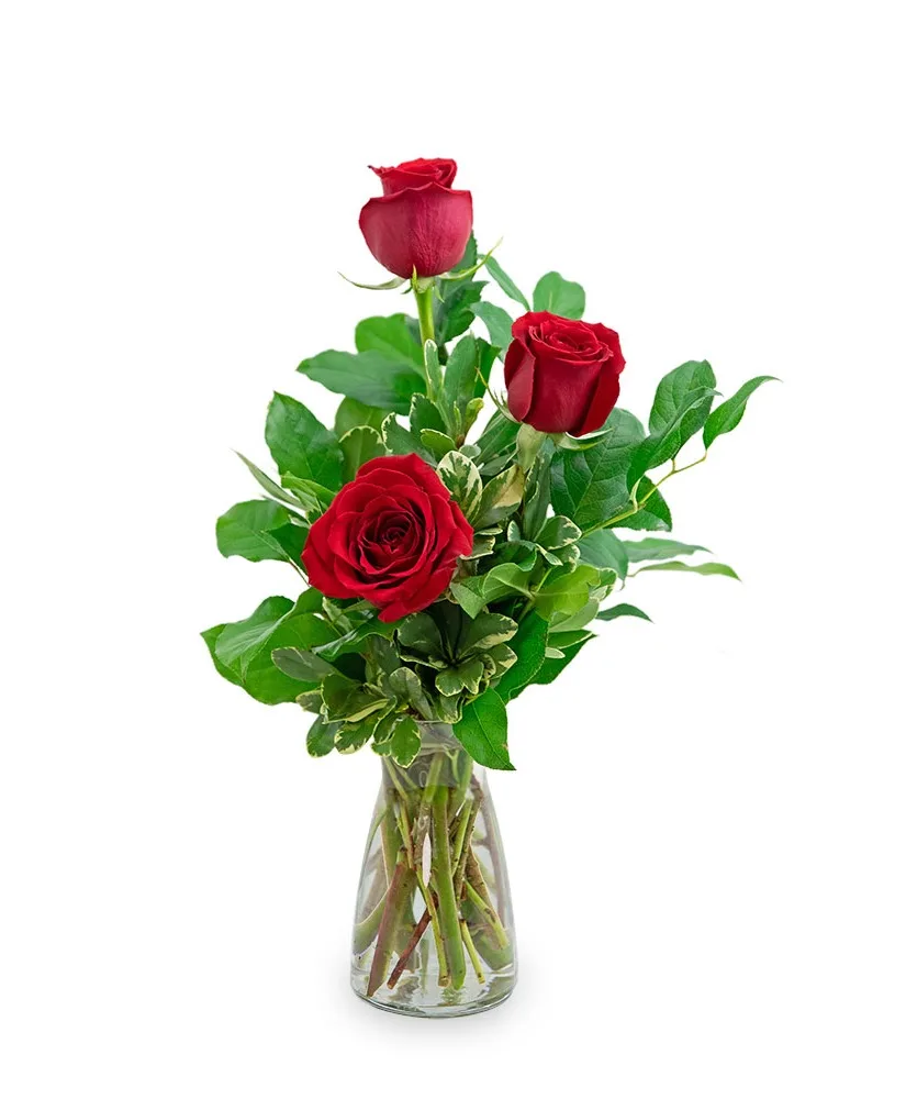 Red Roses (3) Flower Arrangement Red Roses (3) Flower Arrangement