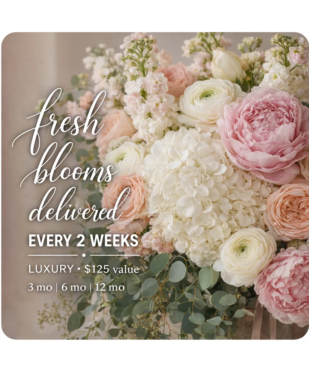 Luxury Bi-Weekly Subscription ($125 Value) Luxury Bi-Weekly Subscription ($125 Value)