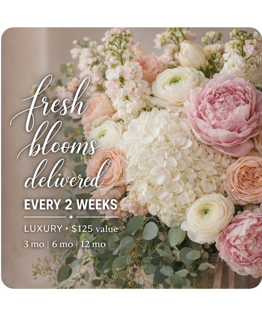 Luxury Bi-Weekly Subscription ($125 Value)