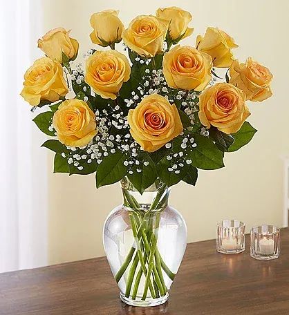 Classic Yellow Dozen