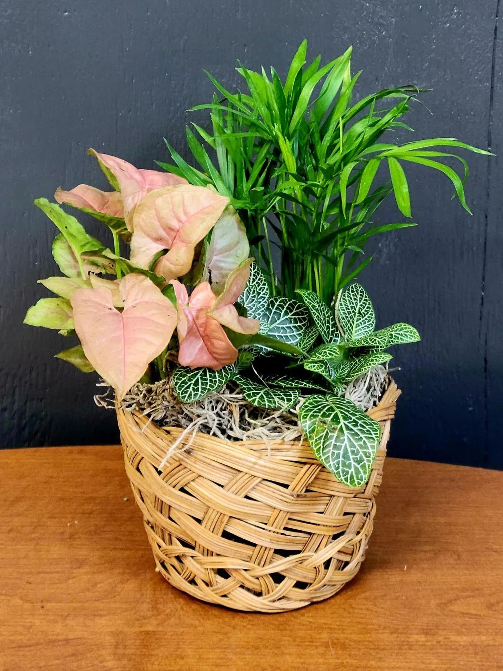 Mix Plants