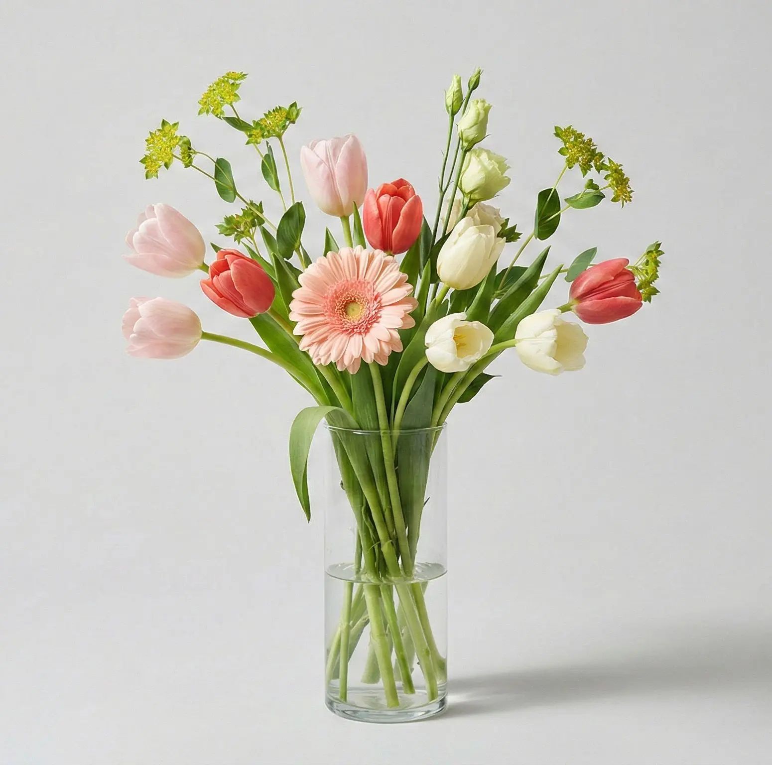 Spring Harmony Tulip